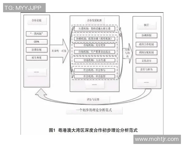 以赞助为核心的品牌合作模式探索与实践分析 以赞助为核心的品牌合作模式探索与实践分析