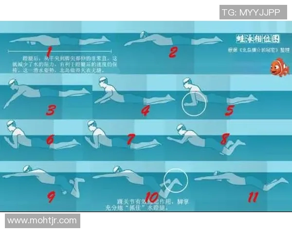 蛙泳呼吸技巧详解如何提高呼吸效率与泳姿协调性