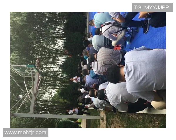 周丽独家分享网球技巧与心得助你提升球技的全方位指南